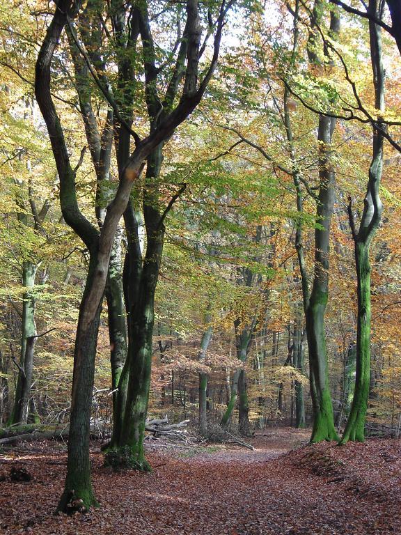 Hof Van Putten Eksteriør bilde